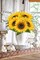 3 Pcs Summer Floral Arrangements Large Artificial Sunflowers – 8" Full Bloom Silk Sunflowers with 33" Long Stems for Seasonal Home & Garden Decor